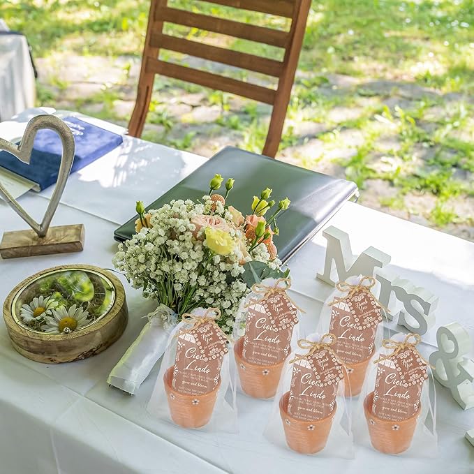 Ctosree 50 Sets Cielito Lindo Wedding Bridal Shower Favors for Guests Include Seed Packets Flowerpot Cards Hemp Ropes Organza Bags Mexican Barro Party Supplies for Wedding Bridal Shower Party Favors