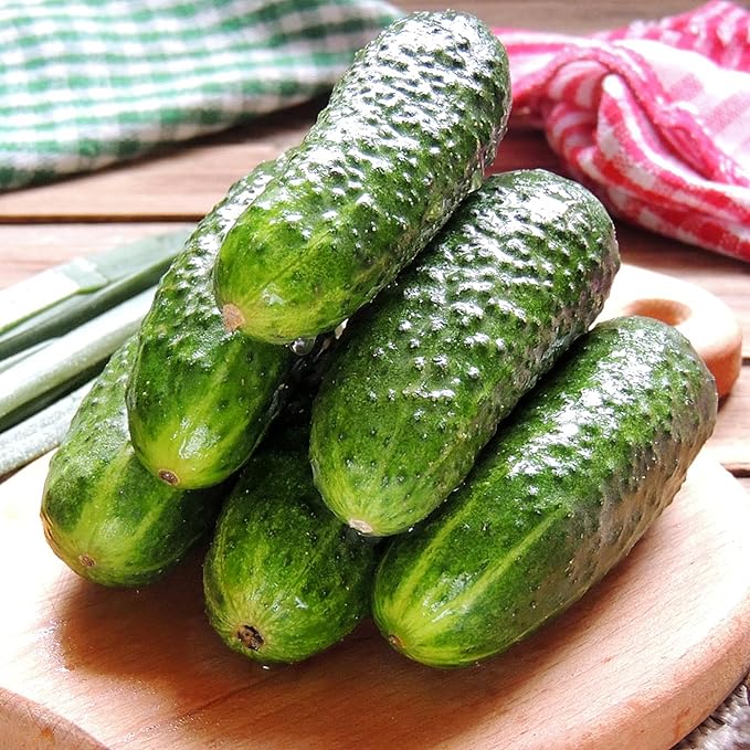 Organic Cucumber Seeds for Planting, 100pcs Cucumber Vegetable Fruits Seeds, Non-GMO Heirloom Vegetables Plants Home Fresh Food Garden for Outdoors Indoors