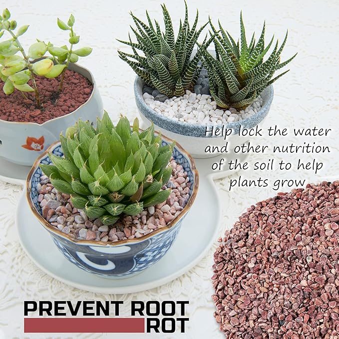 2LBS Horticultural Succulent Rocks Bonsai Mix Succulent Potting Mix Lava Rocks Cactus Soil Potting Mix Amendment