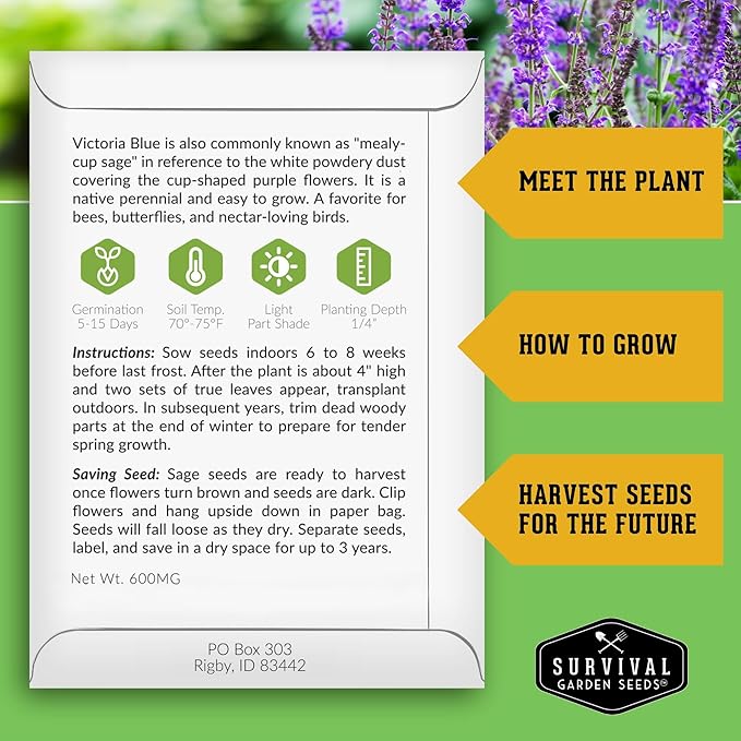 Survival Garden Seeds - Victoria Blue Sage Seed for Planting - 5 Packets with Instructions to Plant and Grow Mealycup Sage or Salvia Farinacea in Your Home Vegetable Garden - Non-GMO Heirloom Variety