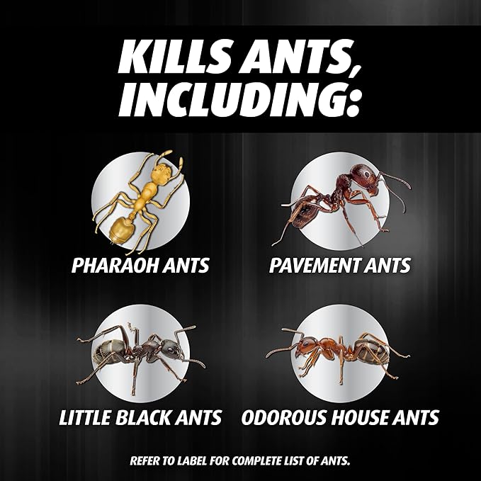 Ortho Orthene Ant Killer Ant Bait, Indoor Ant Killer, Kills The Queen and The Colony, 12 Stations