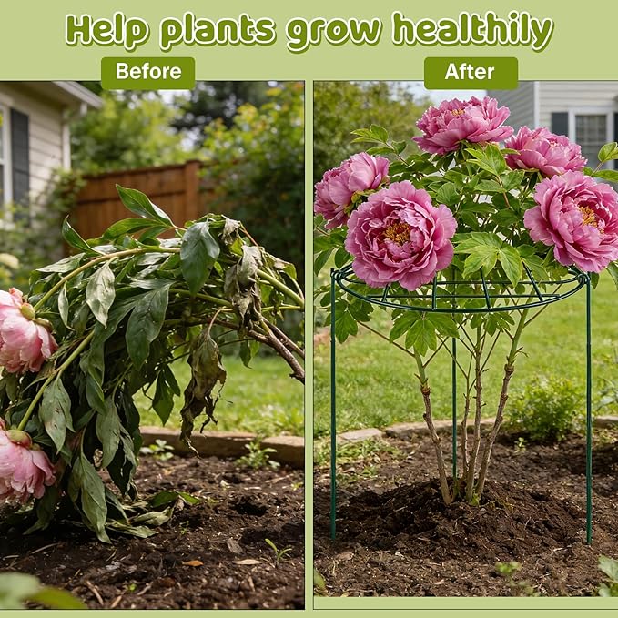 4 Pack 24 x 30 inch Peony Cages and Supports,Metal Grow Through Plant Supports for Outdoor Plants,Flowers Support Rings Top-Heavy Plant Brace Support Hoop for Vegetables,Rose,Tomato,Orchids