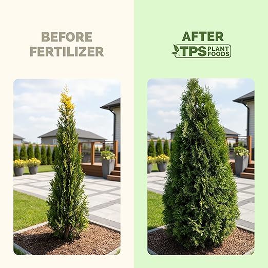 Evergreen Tree Fertilizer – Liquid Plant Food for Rich Green Needles, Stronger Roots & Healthy Year-Round Growth, 32 oz