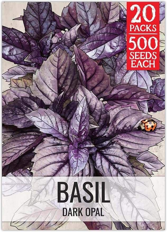 Seed Needs Opal Basil Seeds for Planting Red Basil Plants - Non-GMO Heirloom & Untreated Herb Seeds to Plant an Indoor or Outdoor Culinary Kitchen Garden (20 Packs)