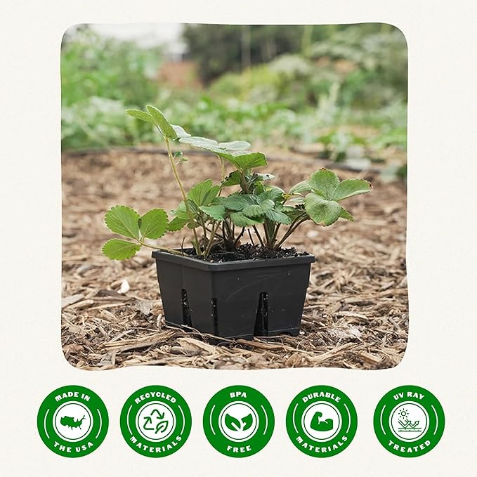 Epic Gardening Reusable Seed Starter Tray - 4 Cell 3"/64 Seedling Starter Trays - Easy Watering, Indoor Greenhouse, Plant Starter, Gardener-Friendly for Seedlings | UV-Treated & BPA-Free - Black