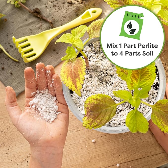 Organic Perlite by Perfect Plants — Add to Soil for Indoor & Outdoor Container Plants for Drainage Management and Enhanced Growth (4qts.)
