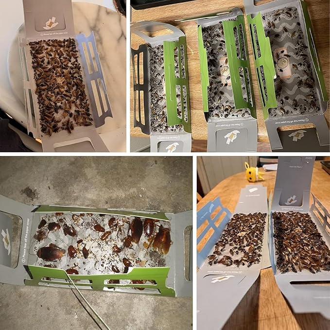 Roach Trap (20Pack) -Cockroach Traps Indoor with Bait,Roach Motel -Child hild & Pet Friendly