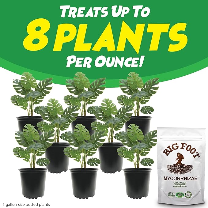 Big Foot Mycorrhizal Fungi Granular for Transplants - for All Plants - Easy to Use Root Stimulator - Treats 240 Plants (60K mycorrhizal Spores) - Double Your Plant Size - 2 Pounds