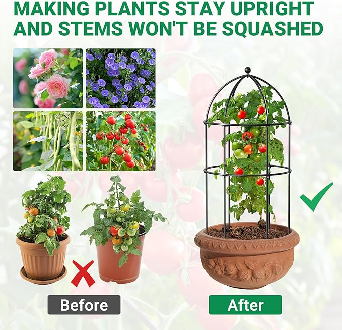 3 Pack Metal Plant Cage Support, 31.5" H Peony Support Tomato Cage Garden Rose Obelisk Trellis Supports Tower for Clematis Vine Jasmine Supports Outdoor Indoor