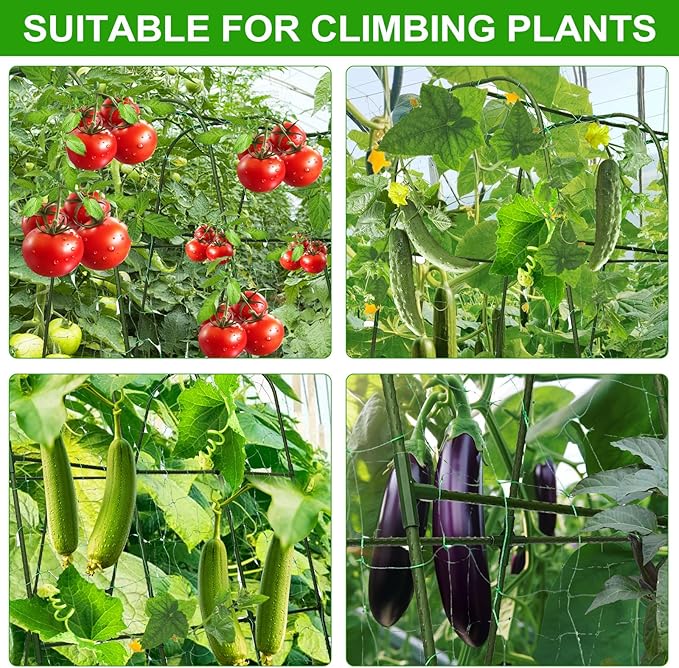 Cucumber Trellis for Raised Beds & Gardens - Sturdy Arch Trellis for Climbing Plants, Tomatoes, Peas & & Beans | Outdoor Vegetable Support for Vines (31.5" Lx30 W x47.2 H)