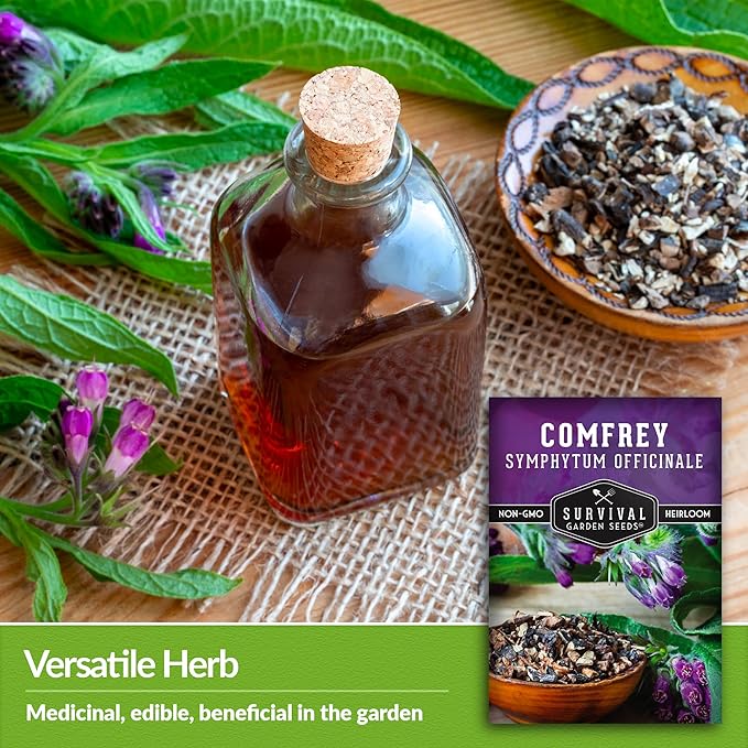 Comfrey Seeds for Planting - Symphytum Officinale Medicinal Perennial Herb for Compost Tea & Natural Skincare - True Slippery Root Non-GMO Heirloom - Survival Garden Seeds (1 Pack)