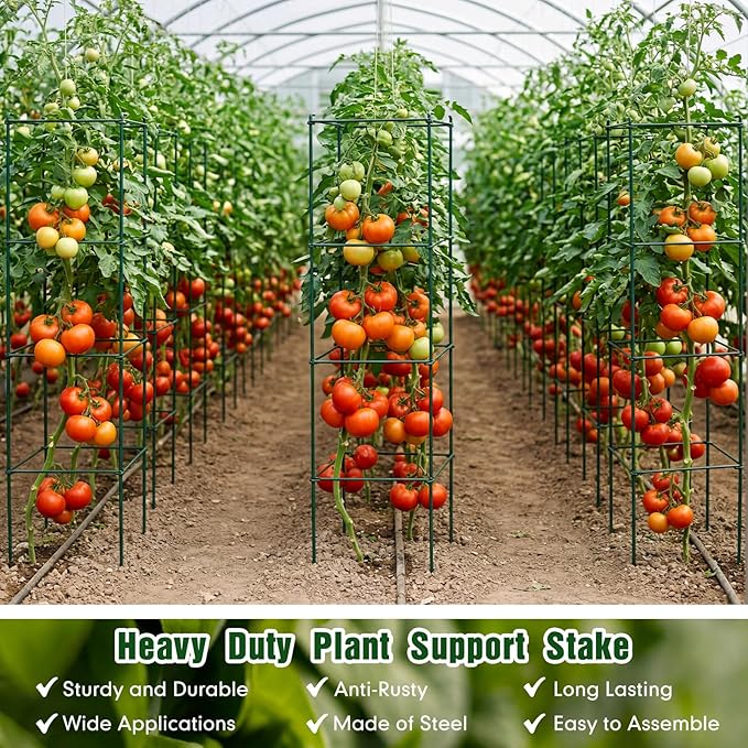 Hicarer 16 Pack Square Tomato Cage Heavy Duty Tomato Cages for Garden Vegetable Plant Trellis Stakes Plant Support Stake Tower for Climbing Vegetables Plants Flowers Fruit (11.5 x 46 Inches,Green)