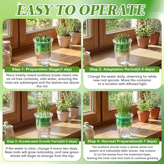 4 Pack Green Onion Planter Scallion Grower Seed Sprouting Kit Compatible with Regular Mouth Mason Jar for Windowsill Garden, Hydroponics, and Propagation Hydroponics Enthusiasts (Green)