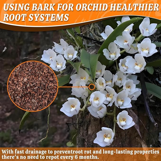 Orchid Potting Bark-6QT Organic Orchid Bark for Plants, All Natural Pine Bark Wood Chips Orchid Bark Potting Mix for Houseplant Mulch, Help Orchid Plants Root Health Development