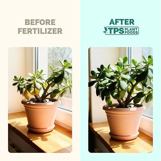 TPS NUTRIENTS Jade Fertilizer for All Jade and Crassula Plants, Liquid Plant Food 8 oz (250mL)