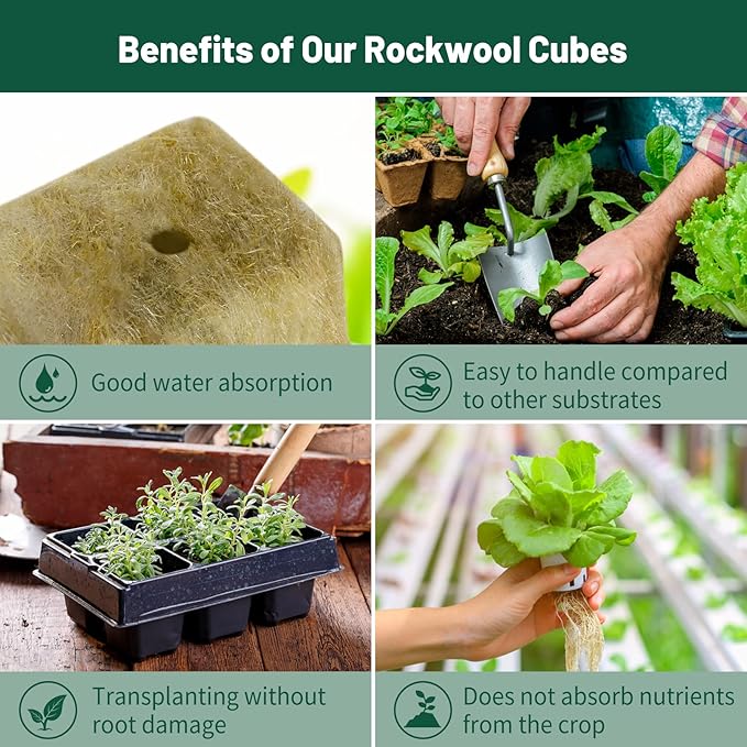 1" Rockwool Cubes for Hydroponics - (200 Plugs in Total) 4 Sheets Rockwool Grow Cubes for Rooting, Cuttings, Clone Plants, Starting Seeds, Ideal Rockwool for Hydroponic Growing