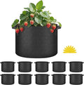 HealSmart Plant Grow Bags 10 Gallon, Tomoato Planter Pots 10-Pack with Handles, Aeration Nonwoven Fabric, Heavy Duty Gardening Planter for Vegetable, Herbs and Flowers, Black 2024 Version