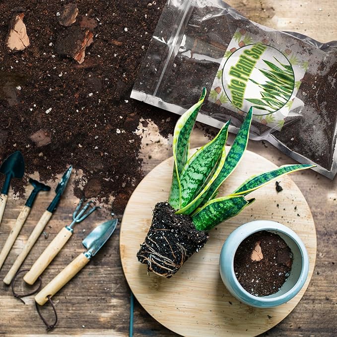 Doter Premium Snake Plant Soil Mix 2qt, Indoor Plants Potting Mix for All Potted Snake Plants, Promote Healthy Growth and Easy Care