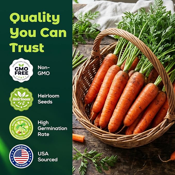 3000 Scarlet Nantes Carrot Seeds for Planting - Non-GMO Heirloom Variety, Fast Growing Vegetable Seeds for for Home Garden & Container Planting