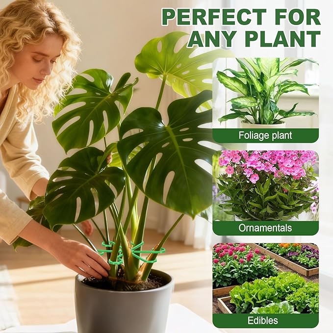 8pcs Plant Stem Support, Plant Support for Indoor Plants, 4 Sizes Climbing Houseplant Stem Holders, Reusable Plant Stabilizer, Indoor Plants Accessories