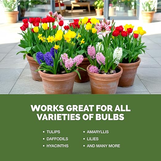 Bulb Fertilizer – Liquid Plant Food for Bigger Blooms & Stronger Bulb Development, 32 oz