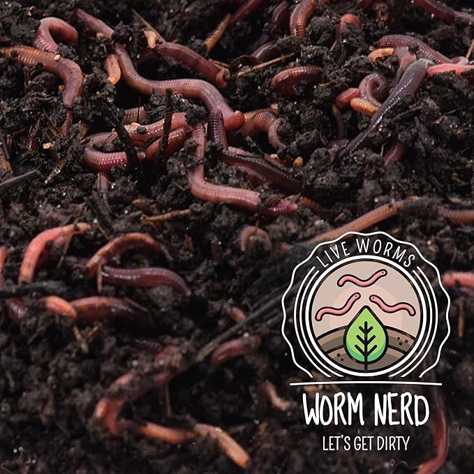 Worm Nerd Composting Worms – Live Red Wriggler Compost Worms Mix – Sustainable Compost Worms Live for Organic Materials - Worm Composting Set for Better Soil Structure 250 Worms *CANNOT SHIP TO HAWAII