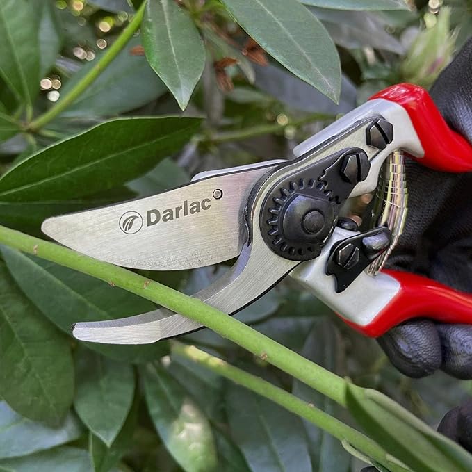 Darlac Expert Bypass Pruners, Ergonomic Hand Pruners with SK5 Carbon Steel Blade, 1-Inch Cutting Capacity, Lightweight Precision Garden Tool