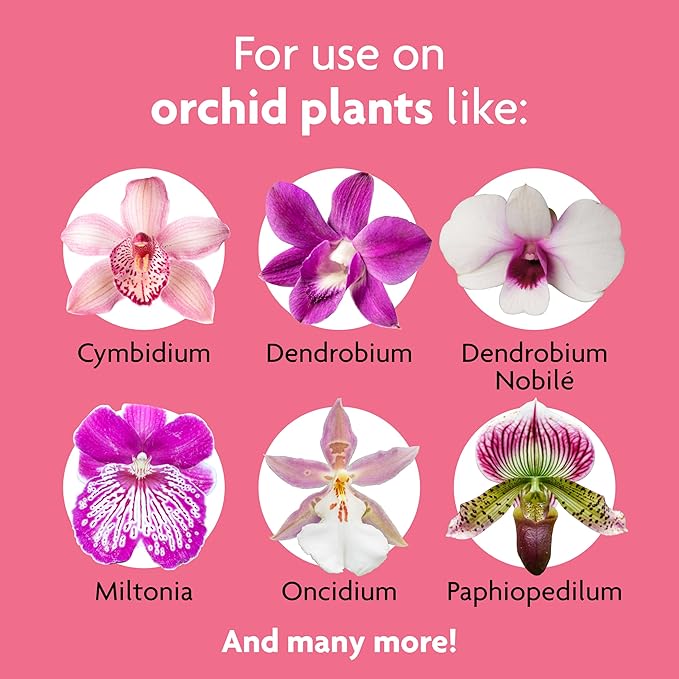 Miracle-Gro Ready-To-Use Orchid Plant Food Mist, 8 oz., Orchid Food Feeds Plants Instantly, 2-Pack
