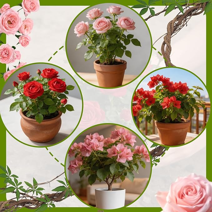 Rose Soil Potting Soil 1qt- Natural Organic Potting Mix for Roses, Superior Drainage & Breathability, Nutrient-Rich Formula to Support Healthy Rose Growth