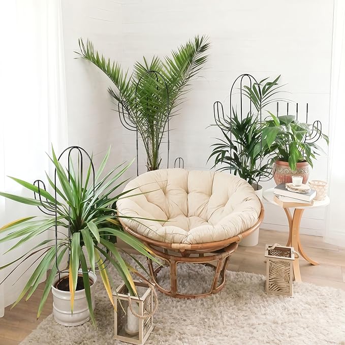 Plant Trellis for Climbing Plants Indoor, Cactus Trellis for Potted Plants, Pothos Hoya Monstera Metal Houseplant Climbing Support for Garden Balcony, 2P
