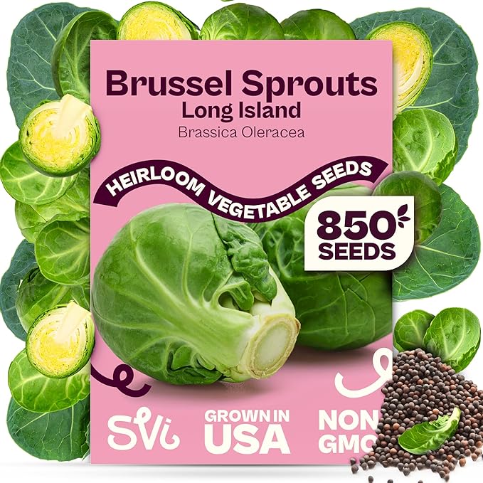 SVI 850 Long Island Brussels Sprouts Seeds (Brassica Oleracea) – Brussel Sprouts Seed Packets, Heirloom Brussel Sprout – Cold Hardy Vegetable Seeds Home Garden, Outdoor Beds, Containers