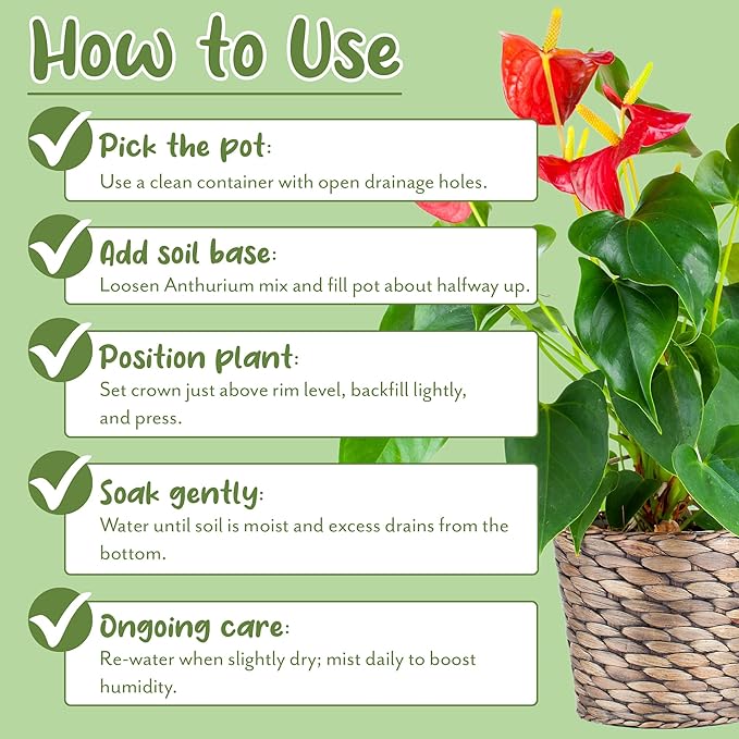 Soil Sunrise Anthurium Plant Potting Soil Mix (4 Quarts) Indoor Houseplant Custom Blend for Flowering Anthuriums