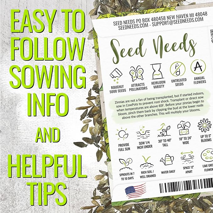 Seed Needs Zinnia Seeds Lime Green Envy Variety Fast Blooming | 5,000+ Heirloom & Open Pollinated Seeds | Annual Cut Flowers Large Blooming | Bulk