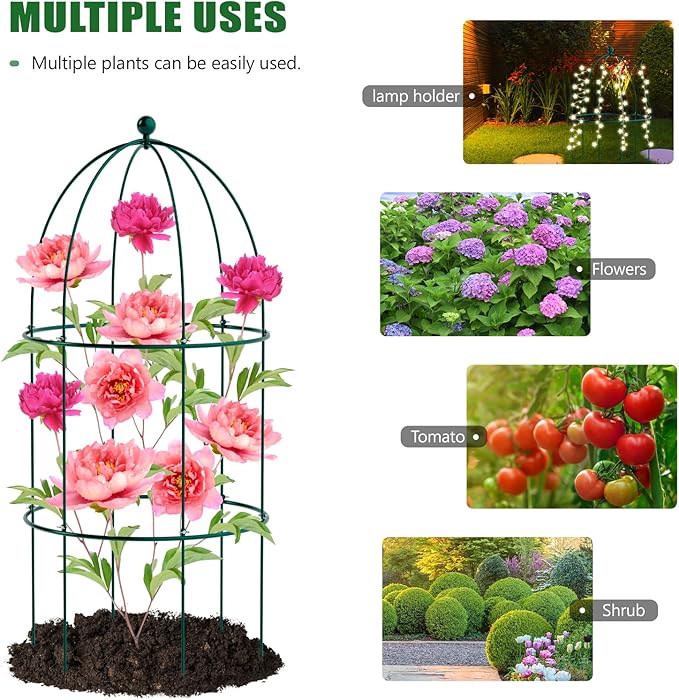 3 Pack Metal Plant Cage Support, 31.5" H Peony Support Tomato Cage Garden Rose Obelisk Trellis Supports Tower for Clematis Vine Jasmine Supports Outdoor Indoor