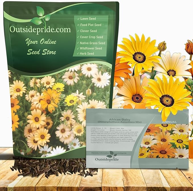 Outsidepride Mix African Daisy Seeds - 1 lb. Annual Flower Seeds for Planting Outdoors with Long-Lasting Blooms, Drought-Tolerant, Easy to Grow for Sunny Gardens & Borders