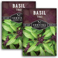 Thai Basil Seeds for Planting – Sweet Thai Basil with Anise Flavor for Asian Cooking – Heirloom Non-GMO Herb Seed for Indoor or Outdoor Gardens – Survival Garden Seeds (2 Pack)