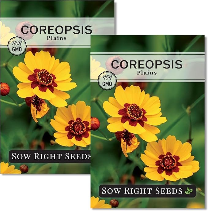 Sow Right Seeds - Plains Coreopsis Seeds - Non-GMO Heirloom Annual Variety - Pollinator Friendly, Drought Tolerant Flowers - Easy to Grow Tickseed - Ideal for Gardens, Borders, Wildflower Areas (2)