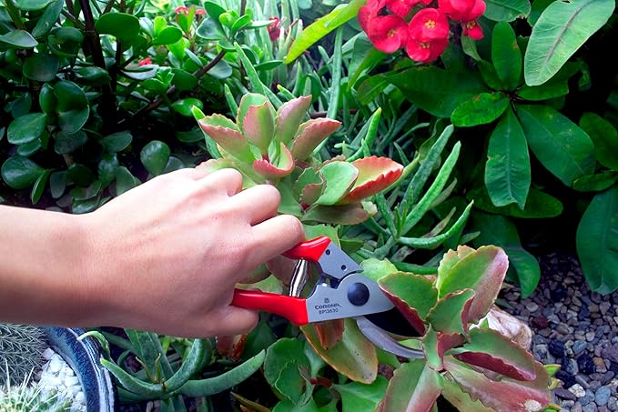 Corona Tools Yard Essentials Pocket Pruner