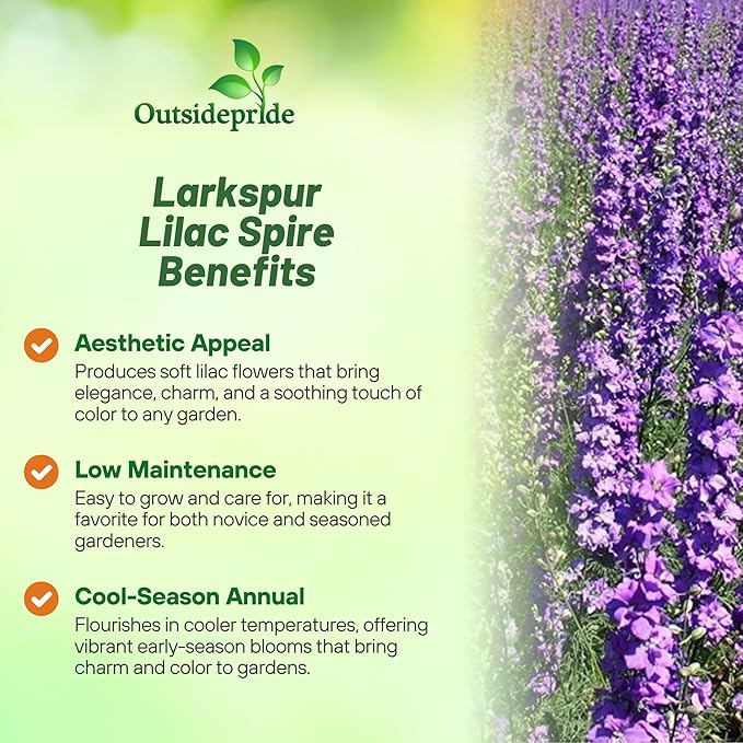 Outsidepride Delphinium Lilac Larkspur Seeds for Planting Outdoors - 1000 Pcs Annual, Self-Seeding, Heat & Drought Tolerant Wildflower Seed, Colorful Blooms for Flower Arrangement & Pollinator Garden