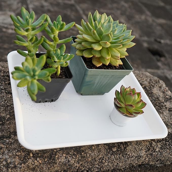 VUWEZ Plant Saucer Growing Tray, Seed Starter Tray Rectangular, Heavy Sturdy Plastic Plant Saucers Drainage Trays, Plant Drip Trays for Pots, Seed Starter Growing Pots (11 x 9 inch, 2 Pack)