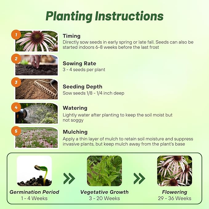 Outsidepride Pale Purple Echinacea Coneflower Seeds - 1000 Pcs Perennial, Drought-Tolerant, Deer Resistant Flower Seeds for Planting, Ideal Nectar Source for Pollinator-Friendly Gardens & Landscapes