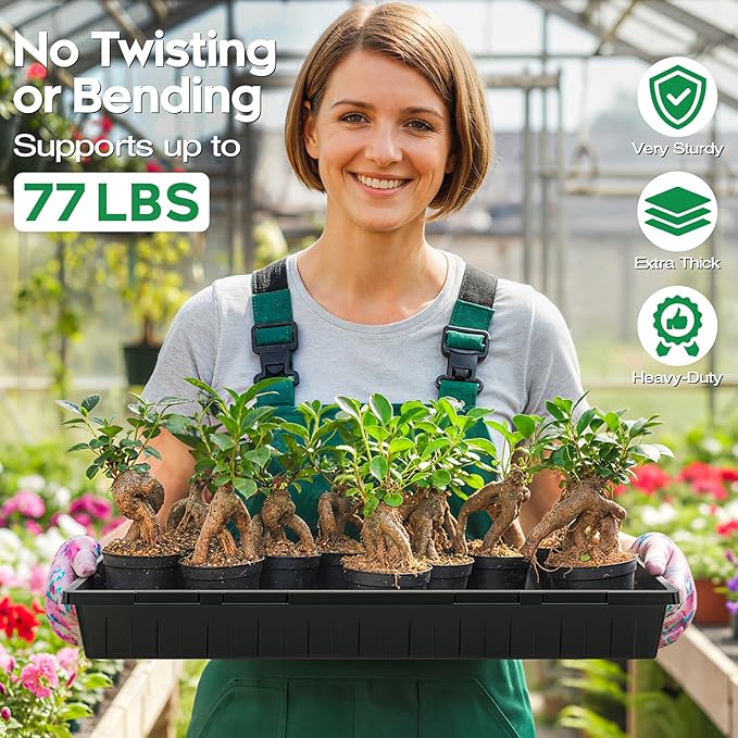 ZJP 20-Pack Heavy Duty 1020 Seed Starter Trays with 5" Humidity Domes, Thick Plant Propagation Trays with Clear Domes for Greenhouse Seed Germination & Microgreens (20 Pack (Tray + Dome))