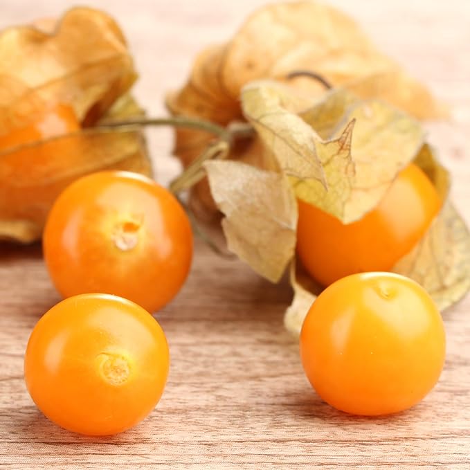 Seed Needs Ground Cherry Tomatillo Seeds for Planting - Non-GMO, Heirloom & Untreated Physalis pruinosa - Edible Cape Gooseberry/Golden Berries to Grow an Outdoor Vegetable Garden (1 Pack)