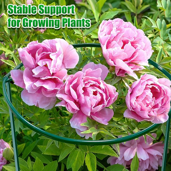 8 Pack Peony Cages and Supports, 10" W x 16" H Plant Support Plant Stakes, Grow Through Plant Supports for Outdoor Plants, Plant Brace Flower Support Rings Hoops for Vegetables,Rose,Tomato,Orchids