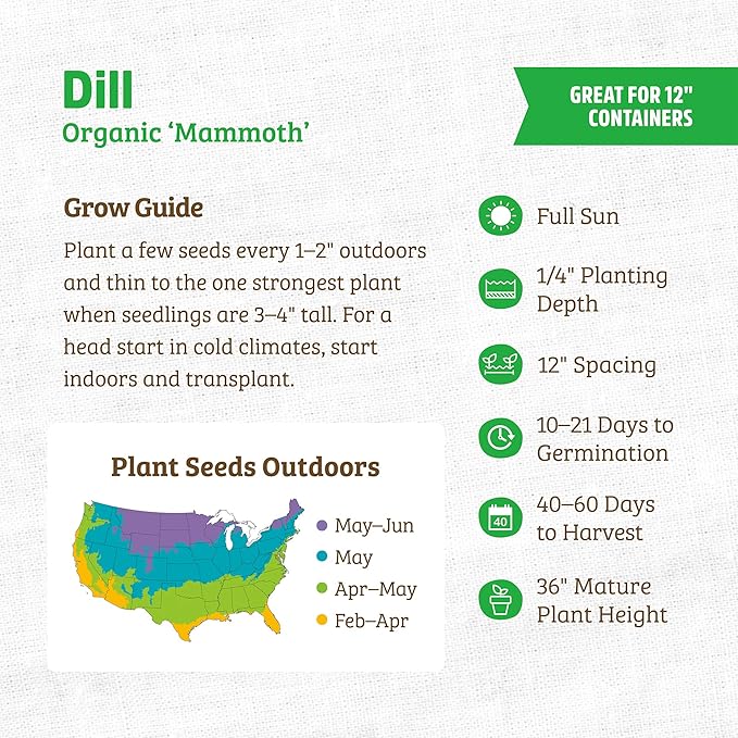 Back to The Roots 100% Organic Seed Packet - Dill 'Mammoth' 1g