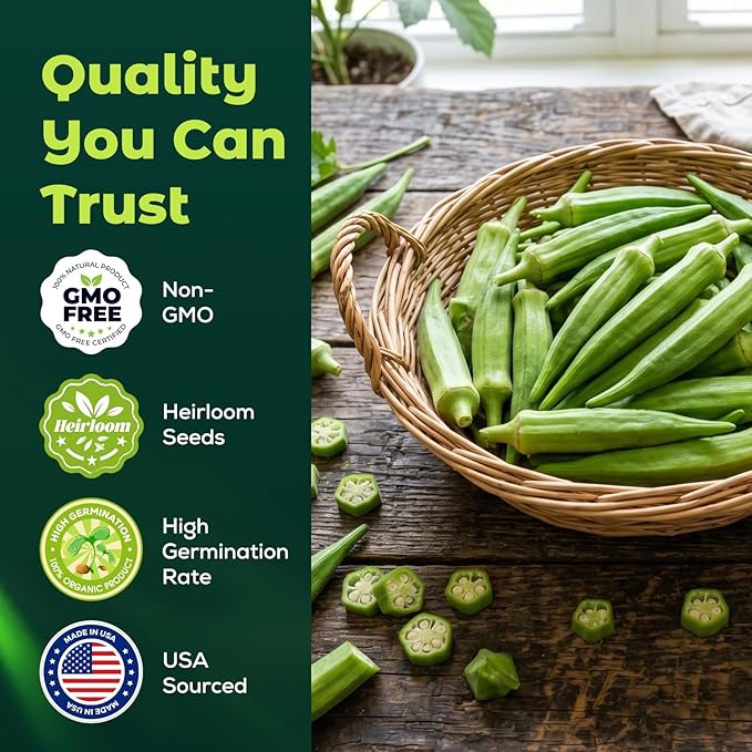 Clemson Spineless Okra Seeds for Planting, 120 Non-GMO Heirloom Seeds — Heat-Tolerant & High-Yielding, Fast Growing Vegetable Seeds for Outdoor Gardens