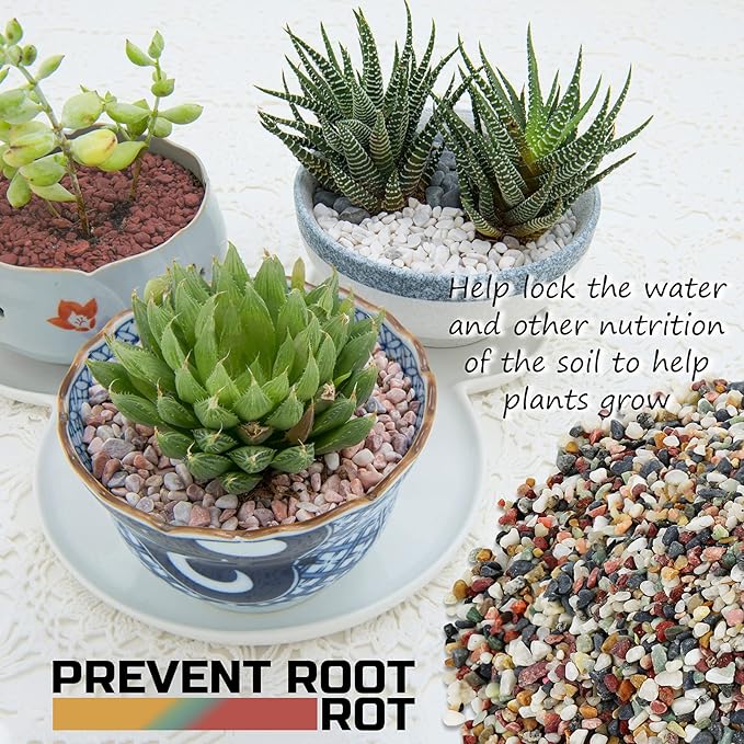 2LBS Bonsai Cactus Soil Potting Mix Succulent Rocks Pebbles for Plants Aquarium Pebbles for Fish Tank