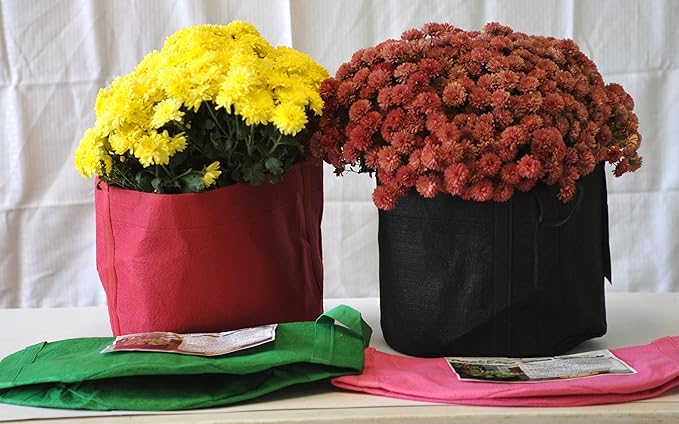 RootEase Garden Planting Fabric Grow Bags, Heavy Duty Durable Fabric Grow Pots, Perfect Harvest Planter, Raised Bed, Eco-Friendly Grow Bags (20 Gallon, Black)