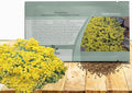 Outsidepride Mountain Gold Alyssum Seeds - 5000 Pcs Perennial, Drought-Tolerant & Pollinator-Friendly Ground Cover Seeds w/Fragrant Yellow Blooms for Low-Growing Xeriscaping & Outdoor Planting