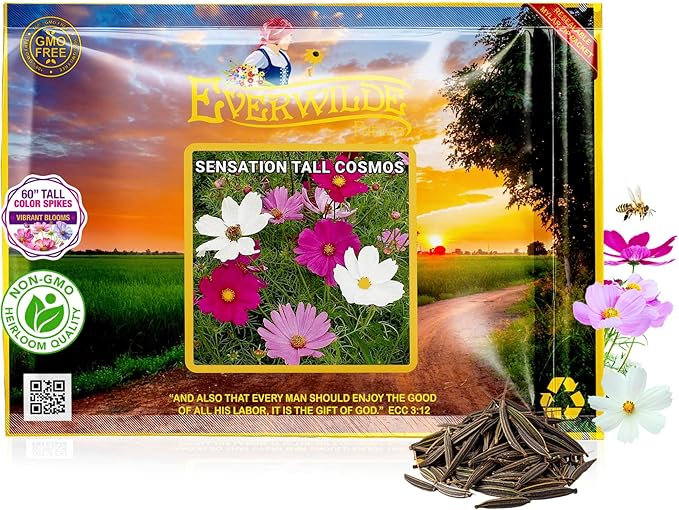 Everwilde Sensation Tall Cosmos Seeds 1 Lb Mylar – Easy to Grow Annual Wildflowers – High Germination & Attracts Pollinators – Great Wildflower Seed for Gardens, Pots & Bouquets